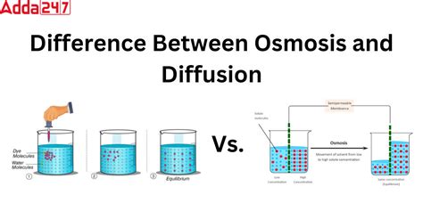 Difference Between Osmosis and Diffusion for Class 9 .